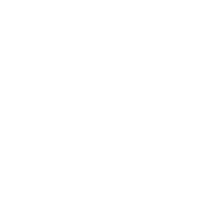 AYCO - A Goldman Sachs Company