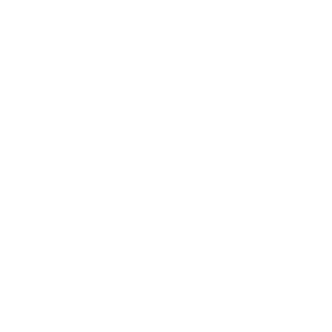 Intel Capital